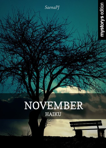 Sonstiges: November - Haiku von SaenaPJ